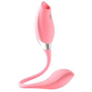 2 IN 1 Clitoral Sucking Vibrator With Heated Vibrating Egg